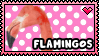 The Fun Page